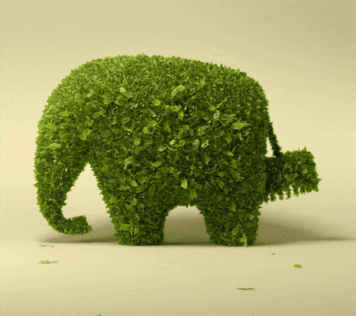 <b>La Force de la Nature</b>