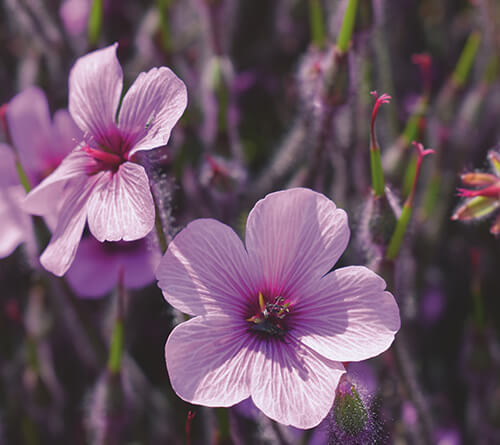 Mondes de tendances 2022