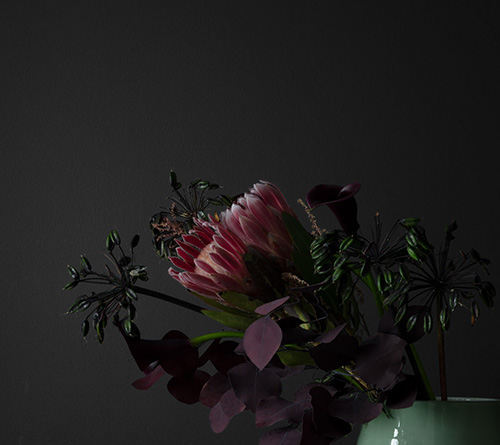 Couleur tendance de l'année