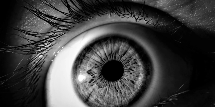 Plongez dans l'univers du NOIR !