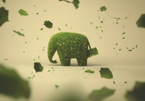 Vers une production durable